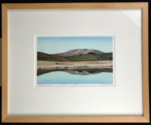 Sweet Light, Nicasio (framed)