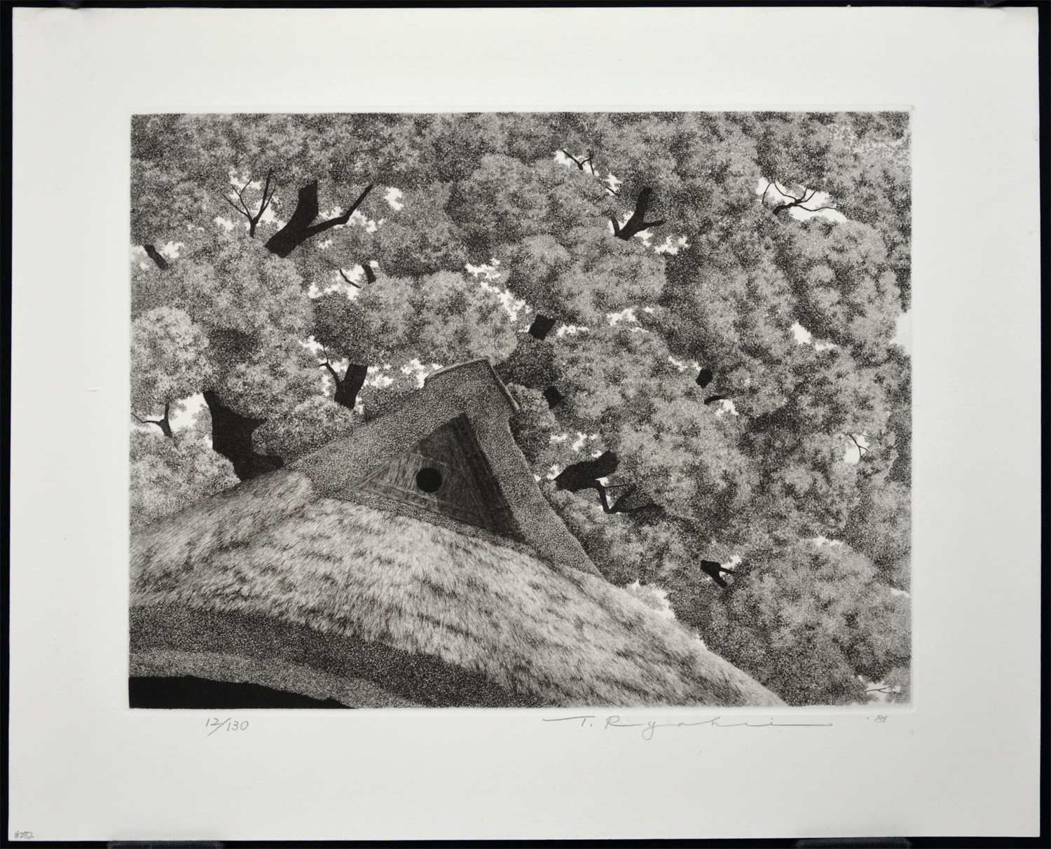 Big Tree No. 1 - Image 2