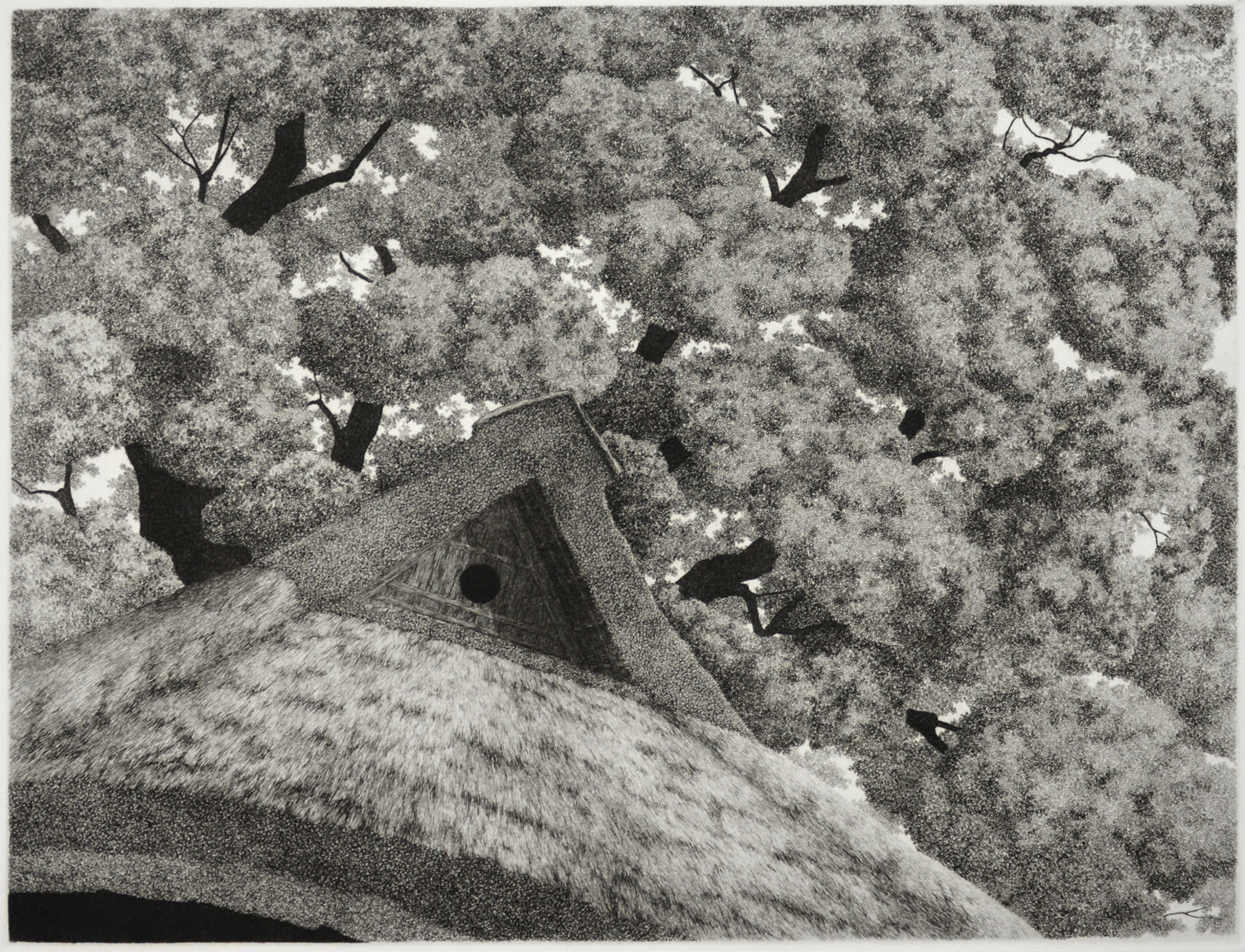 Big Tree No. 1