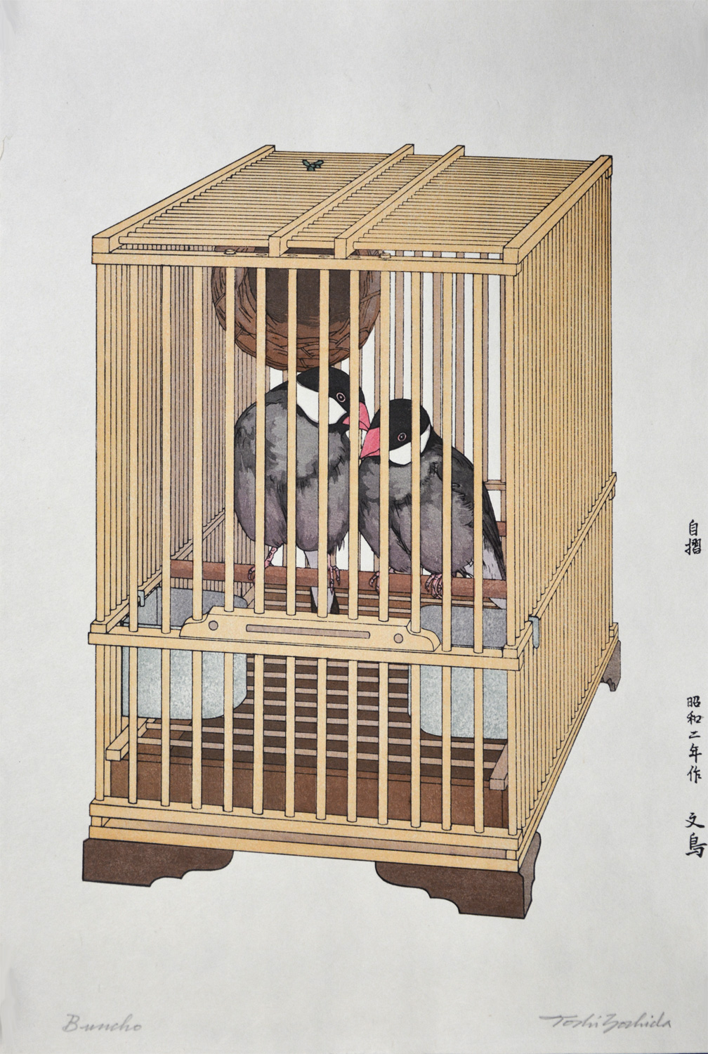 Buncho (Java Sparrow) - Image 3