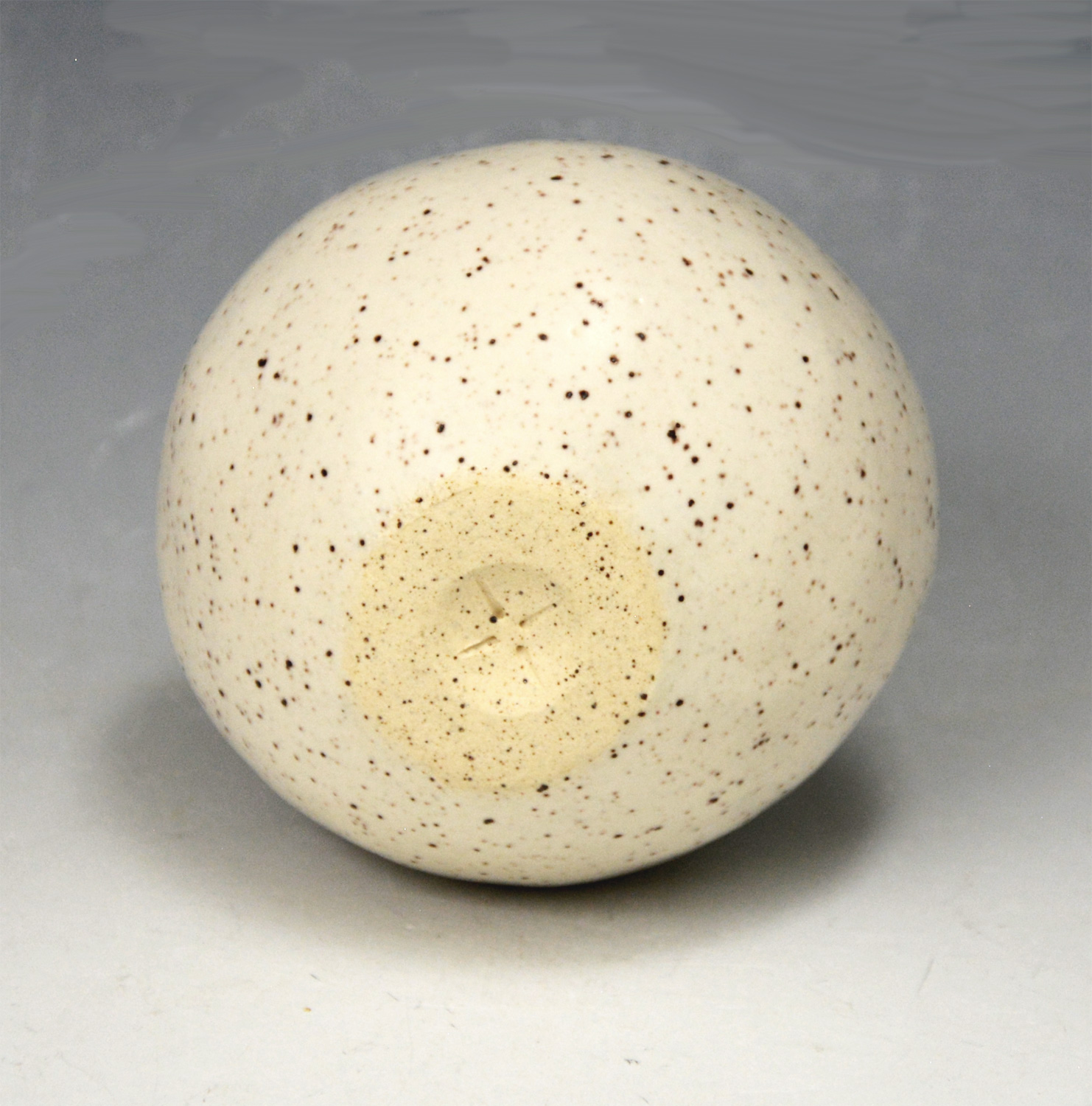 Vessel #119 - Image 4