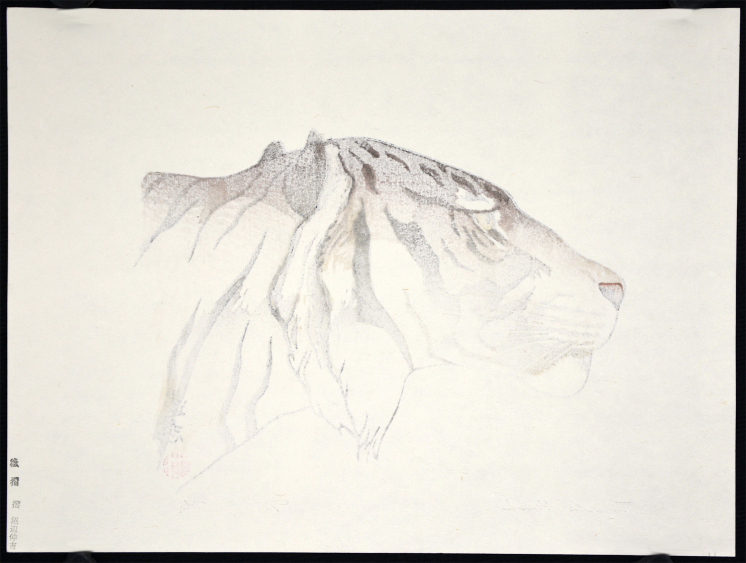 Tiger's Head - Image 3