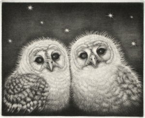 Muku Muku (plump) - 2012