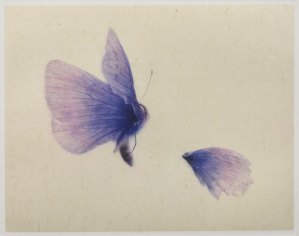 Demonter (Disassemble)