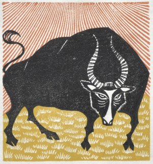 Taurus