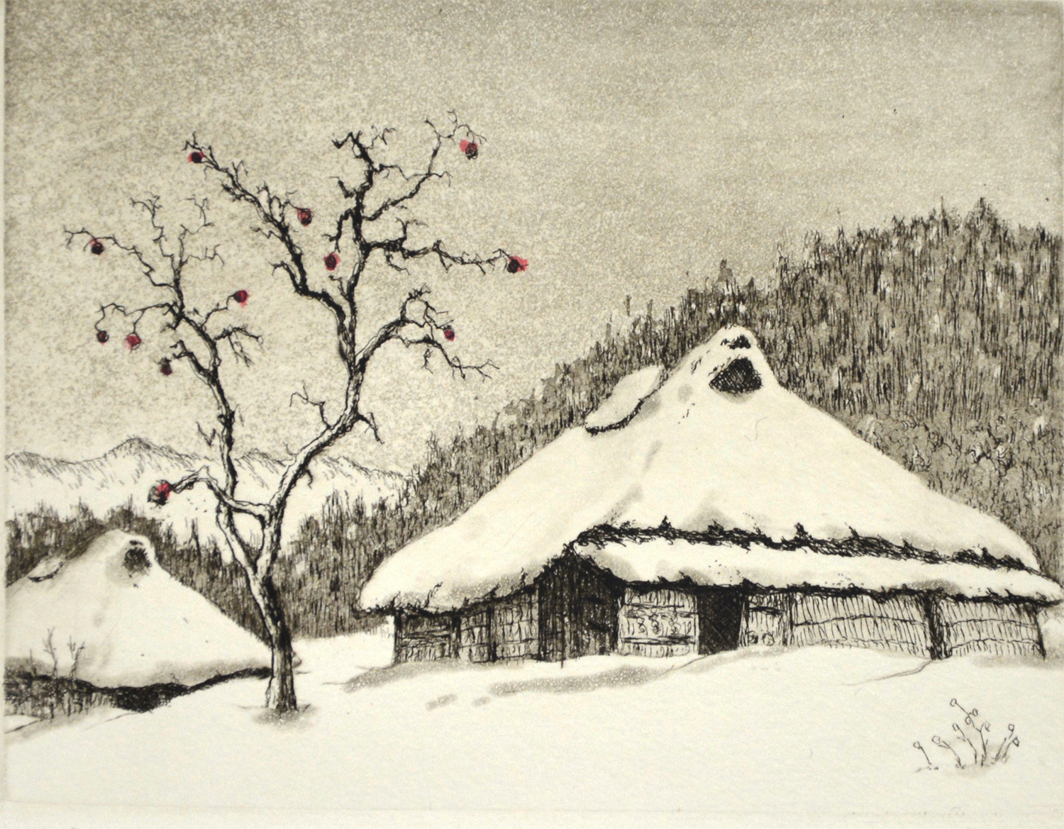 Mountain Village in Winter