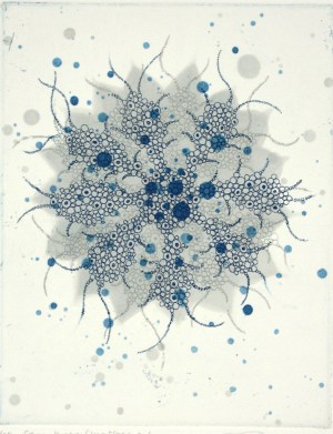 Fern Butterfly Effect a-6