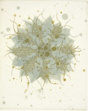 Fern Butterfly Effect a-3