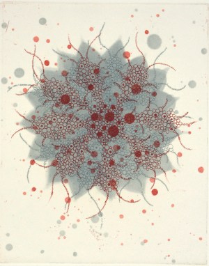 Fern Butterfly Effect a-7