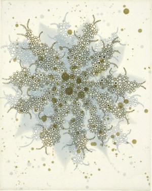 Fern Butterfly Effect b-3