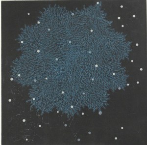 Fractal-ssi-1b