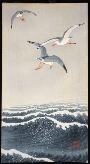 Seagulls over the Waves