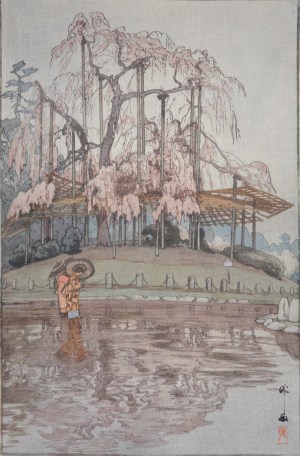 Yatsugatake in Rain with jizuri seal