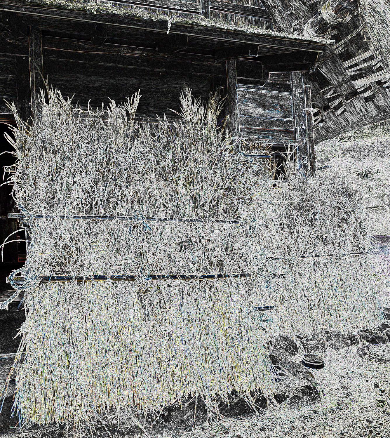 Nanto Suganuma (Drying Thatch)