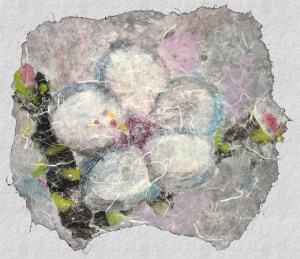 Fragrance