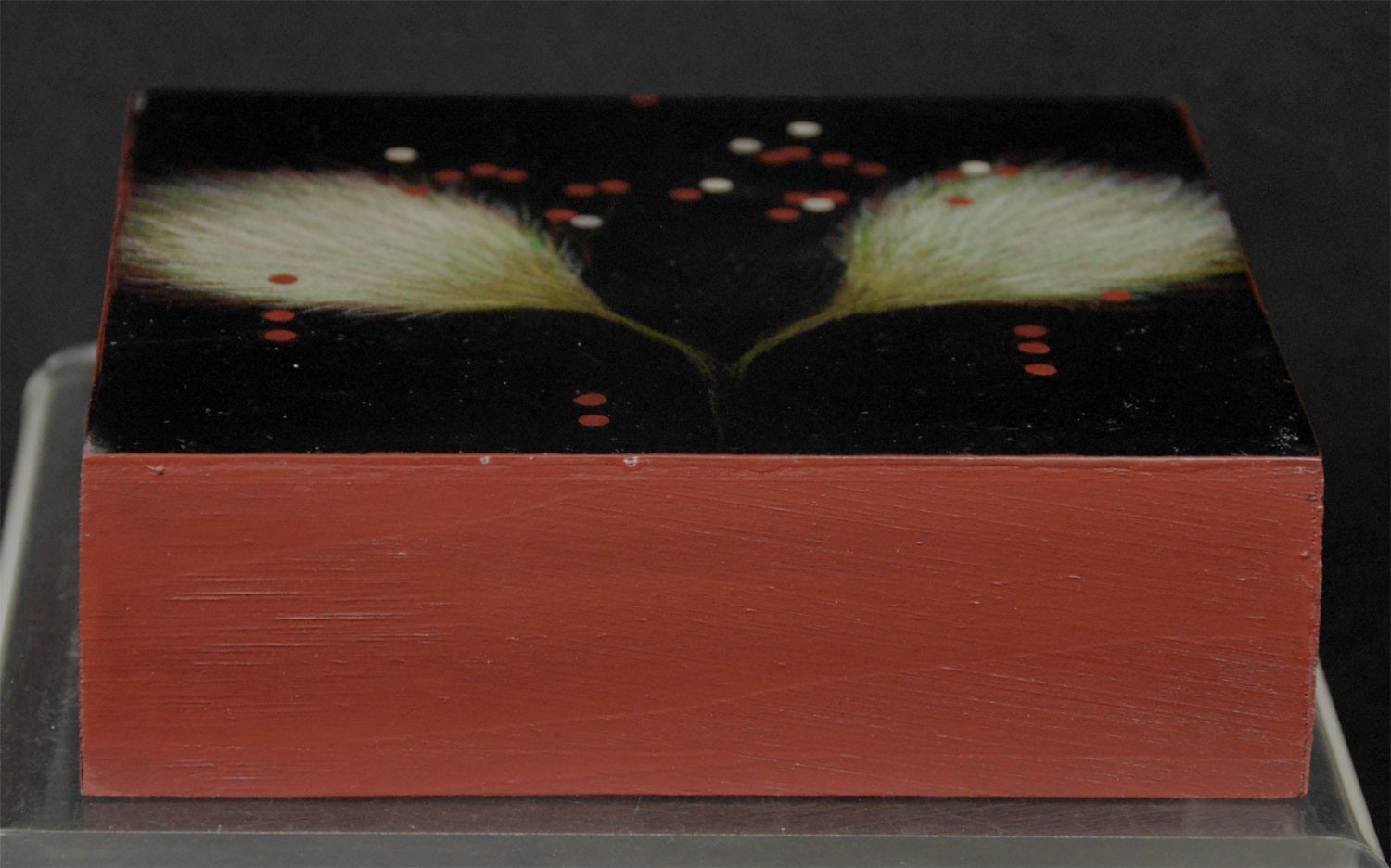 Aerobloom-A-3 - Image 5