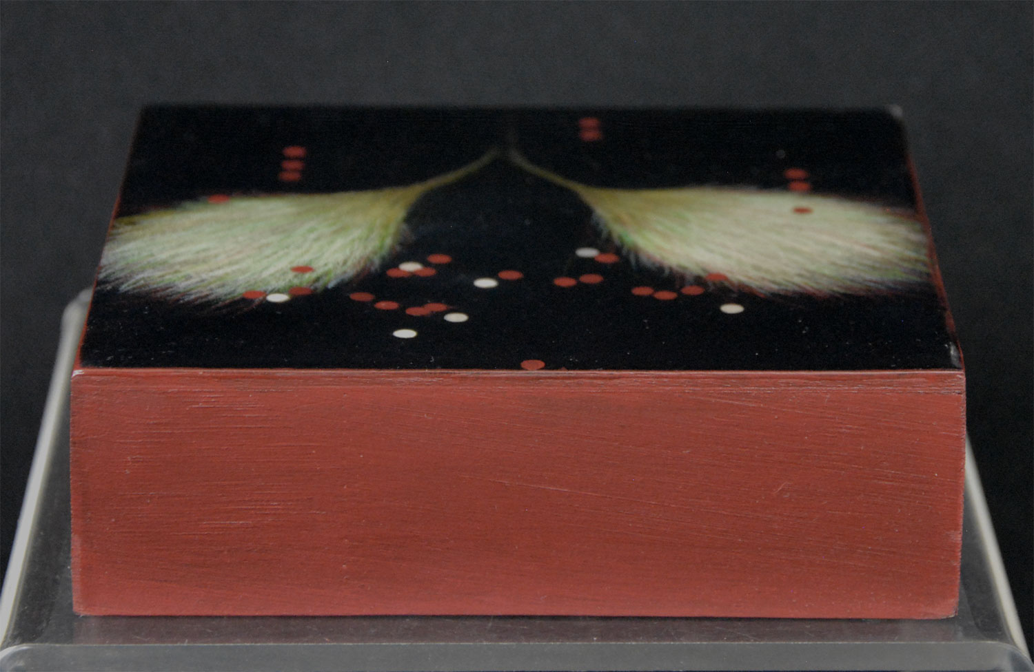 Aerobloom-A-3 - Image 6