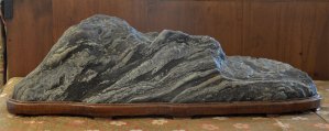 Suiseki - Striated Rock