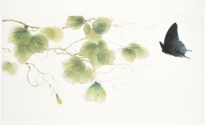 Entre brise et lumiére (Between breeze and light)