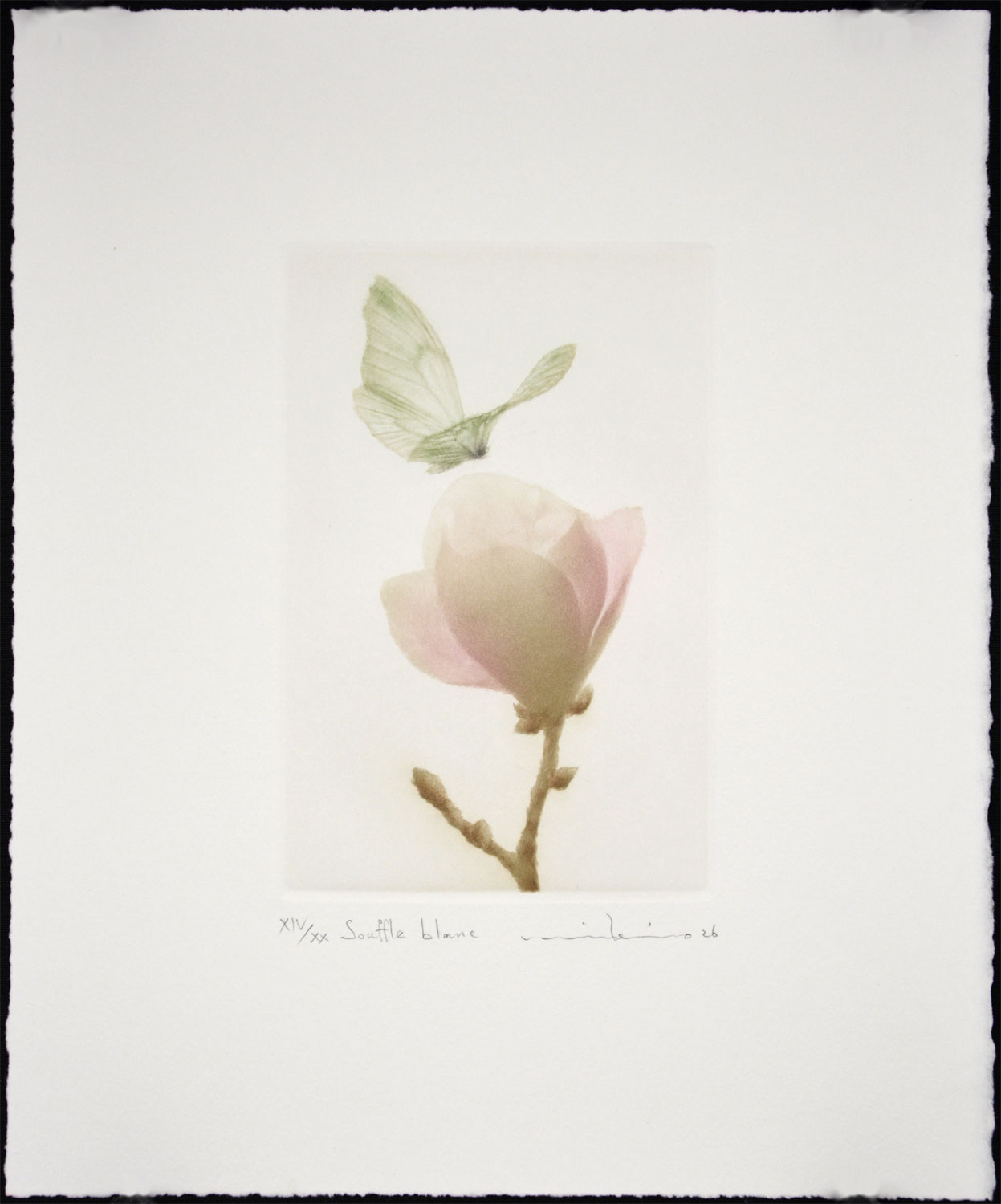Souffle Blanc (White Breath) - Image 2
