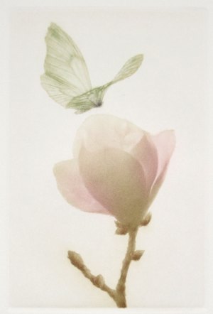 Souffle Blanc (White Breath)