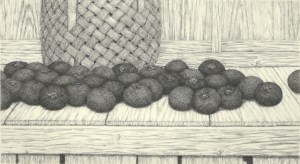 Persimmons