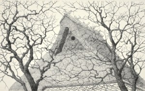 Persimmon Tree #4