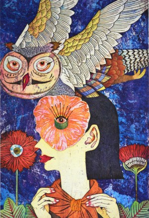 Nocturnal Vision