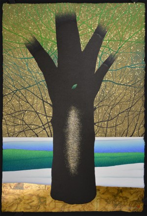A Winter Dream